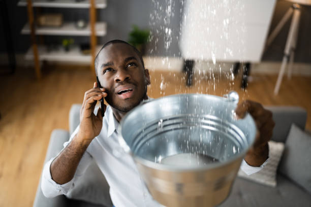  Clever, MO Water damage restoration Pros