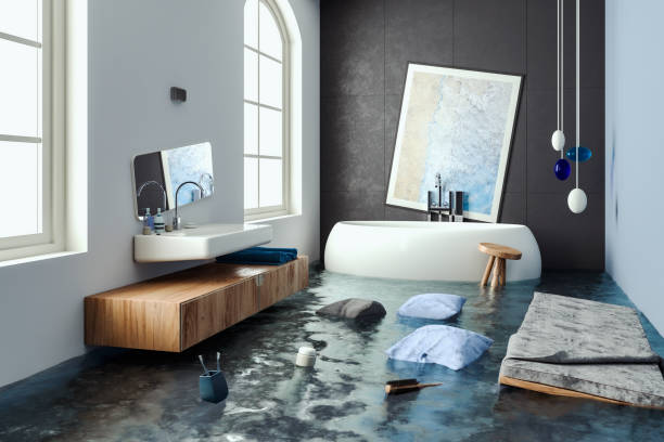 Best Basement water damage restoration  in Clever, MO