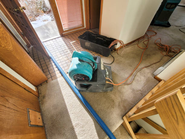 Best Commercial water damage restoration  in Clever, MO