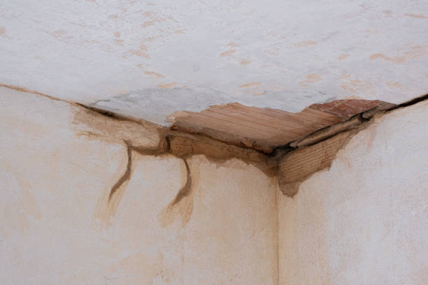 Trusted Clever, MO Water damage restoration Experts
