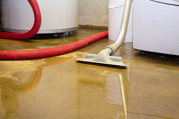 Best Sewage cleanup and water damage restoration  in Clever, MO