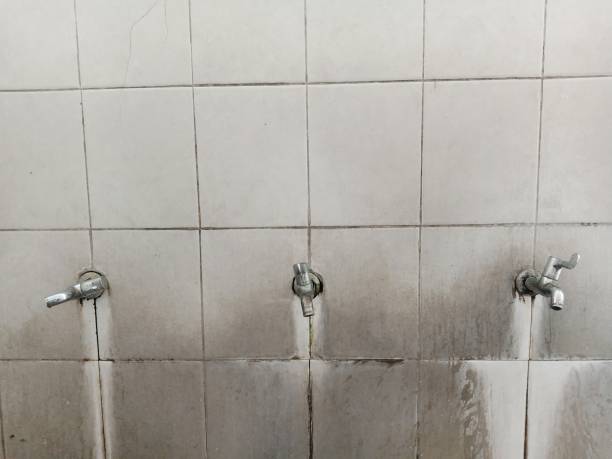 Professional Water damage restoration in Clever, MO