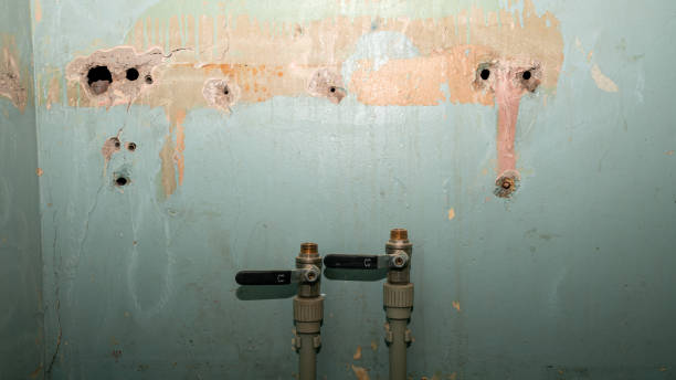 Best Water damage contractors near me  in Clever, MO