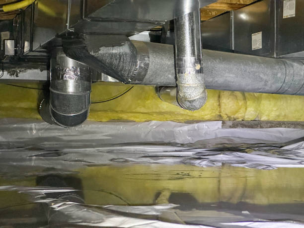 Best Flooded house restoration  in Clever, MO